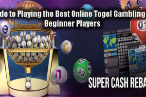 Guide to Playing the Best Online Togel Gambling for Beginner Players